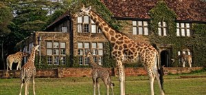 Nairobi-giraffe-centre1